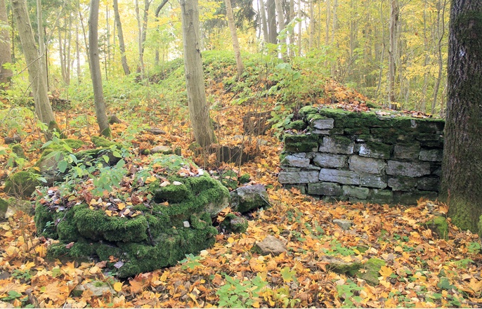 Остатки стен Любшанской крепости